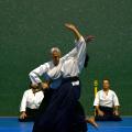Aikido Aviron Bayonnais