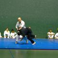 1 kenpo