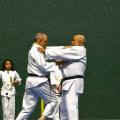 2 jujitsu