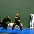2 kenpo