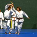 3 jujitsu