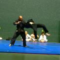 3kenpo