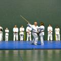 4 jujitsu