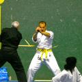 4 kenpo