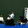Aikido Aviron Bayonnais