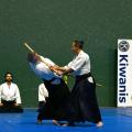 Aikido Aviron Bayonnais