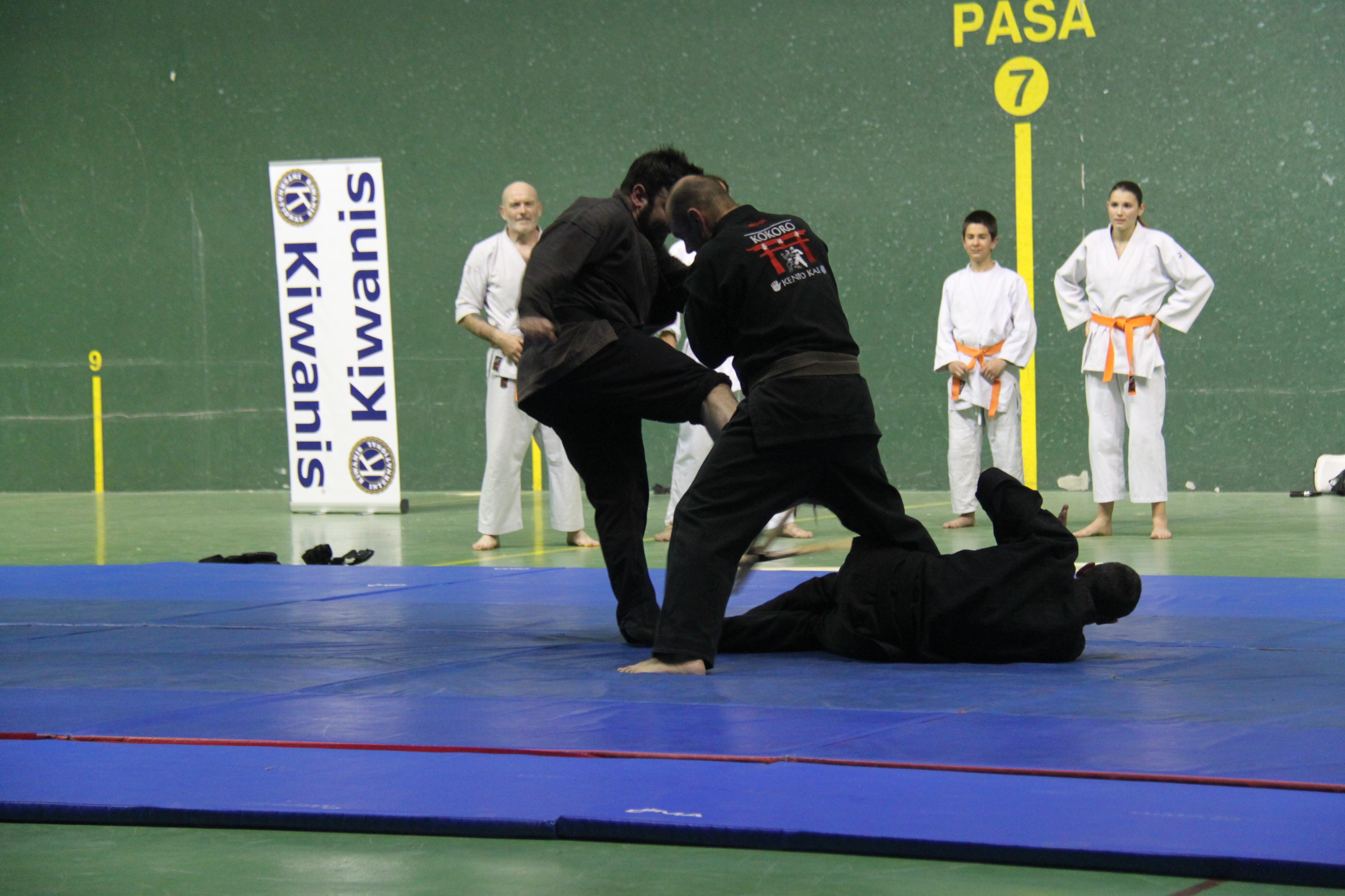 Kenpo Kaï 1